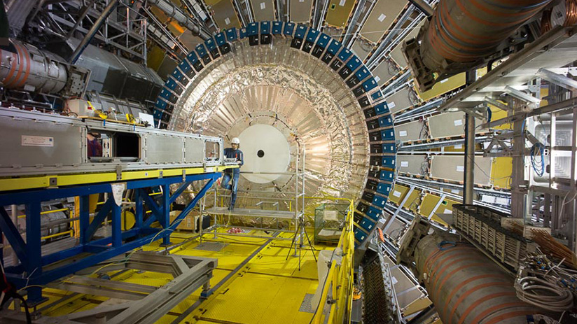 Particle Fever