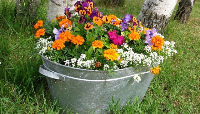 Metal tub with flowers