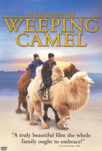 Weeping Camel poster